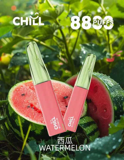 001-01.webp Chill鴨嘴獸8800口拋棄式電子煙 | 清爽特調口味維持舒適低負擔感|適合喜愛隨行無負擔的輕度社交族