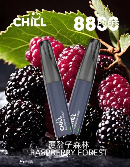 001-13.webp Chill鴨嘴獸8800口拋棄式電子煙 | 清爽特調口味維持舒適低負擔感|適合喜愛隨行無負擔的輕度社交族