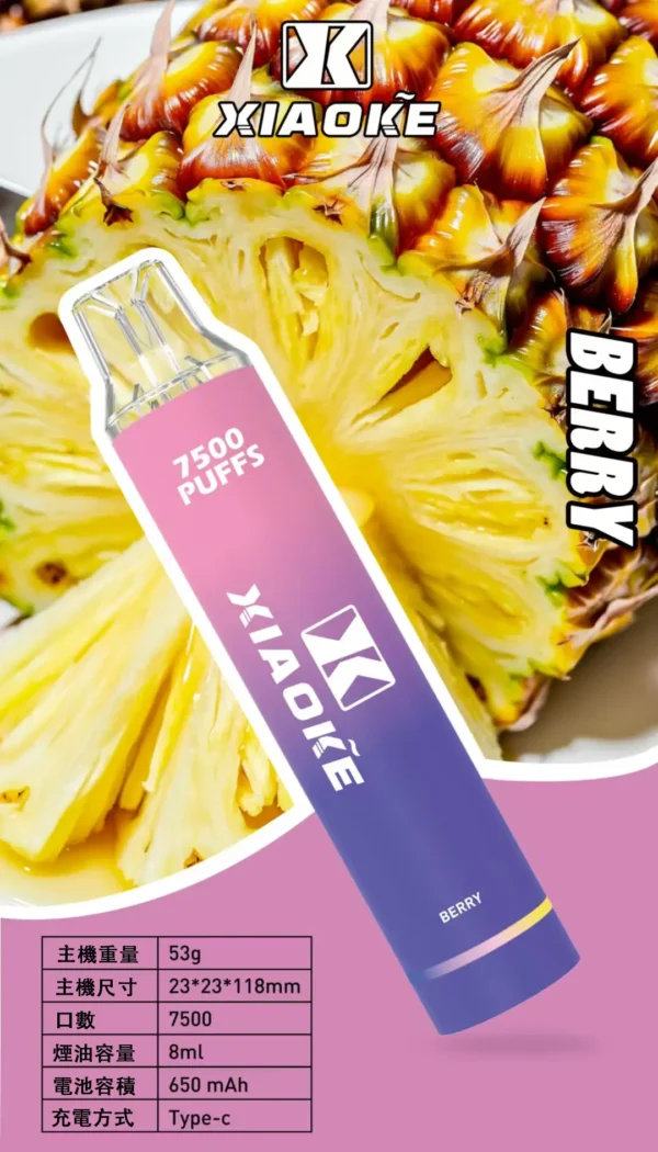 XIAOKE 梟客 7500口拋棄式電子煙｜主打網狀霧化黑科技與長效續航｜適合偏好瞬時爆發濃郁層次與飽滿口感的玩家
