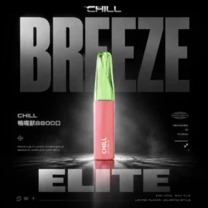 Chill鴨嘴獸8800口拋棄式電子煙 | 清爽特調口味維持舒適低負擔感｜適合喜愛隨行無負擔的輕度社交族