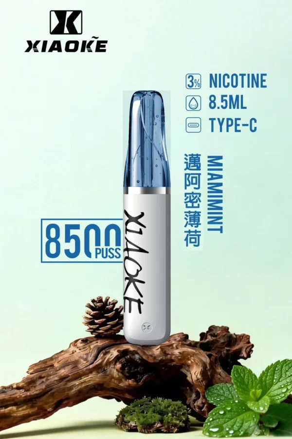 27763104a941bdf31156bc0c11499293-1024x1536.jpg XIAOKE 梟客 8500口拋棄式電子煙|長效續航與細膩霧感體驗|適合追求便利與穩定口感的玩家