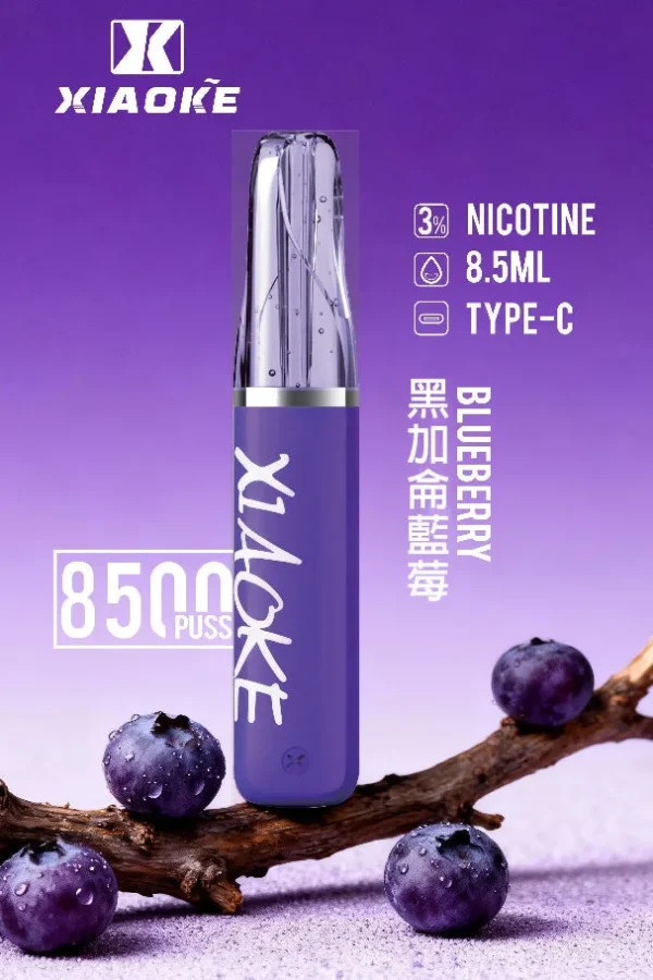 8b2c17ea1d548700b8e9ec2a9e768390.jpg XIAOKE 梟客 8500口拋棄式電子煙|長效續航與細膩霧感體驗|適合追求便利與穩定口感的玩家