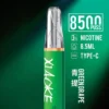 bede8c3d084105e043d192765e2199c6-1024x1536.jpg XIAOKE 梟客 8500口拋棄式電子煙|長效續航與細膩霧感體驗|適合追求便利與穩定口感的玩家