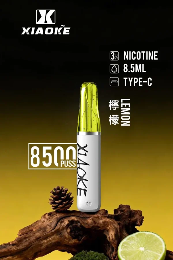 d185d7e28615e84aca893d861a0e04f4-1024x1536.jpg XIAOKE 梟客 8500口拋棄式電子煙|長效續航與細膩霧感體驗|適合追求便利與穩定口感的玩家